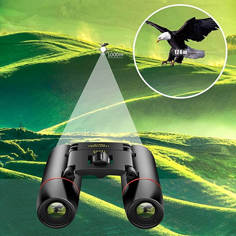12X25 Small Pocket Binoculars Compact AdultsMini Kids Binoculars Boys for Bird WatchingConcert Theater Opera