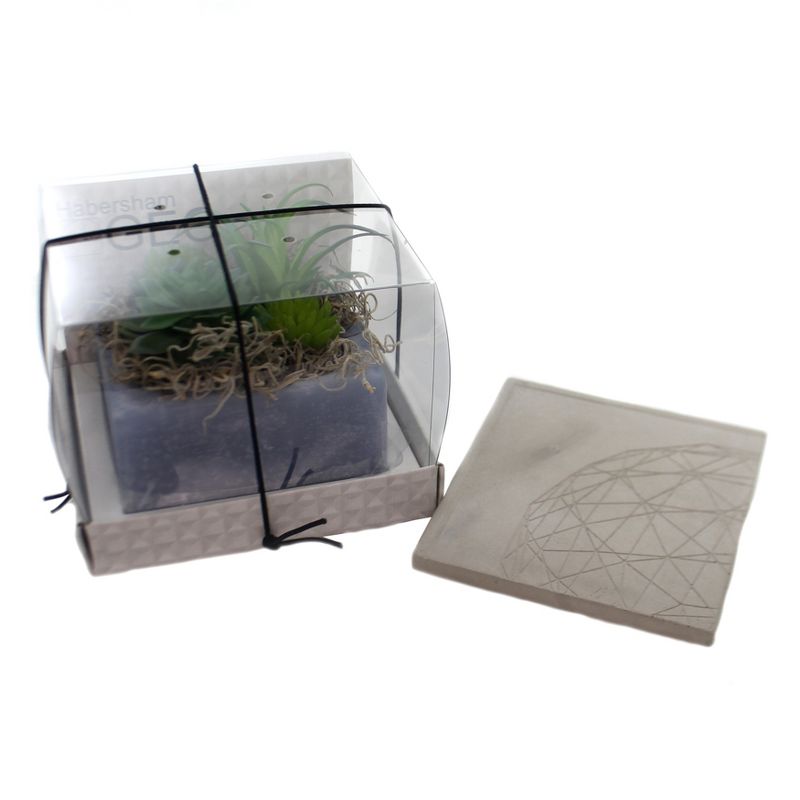 Habersham Candles 4.25" Cactus Water Wax Pottery No Burn Fragrance  -  Flameless Candles