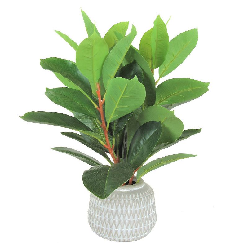 18" x 10" Artificial Rubber Plant in Pot - LCG Florals