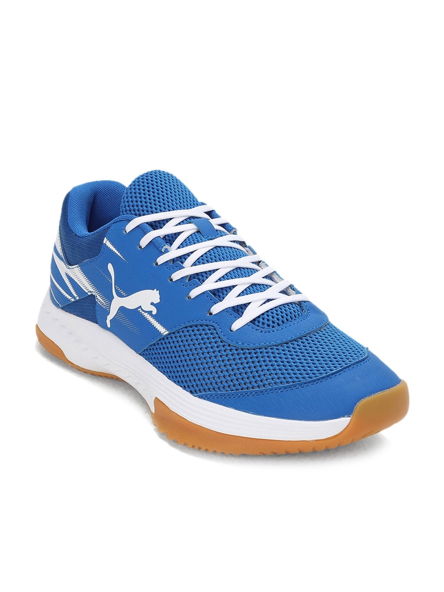 Puma Men's Varion II Blue Indoor Court Shoes
