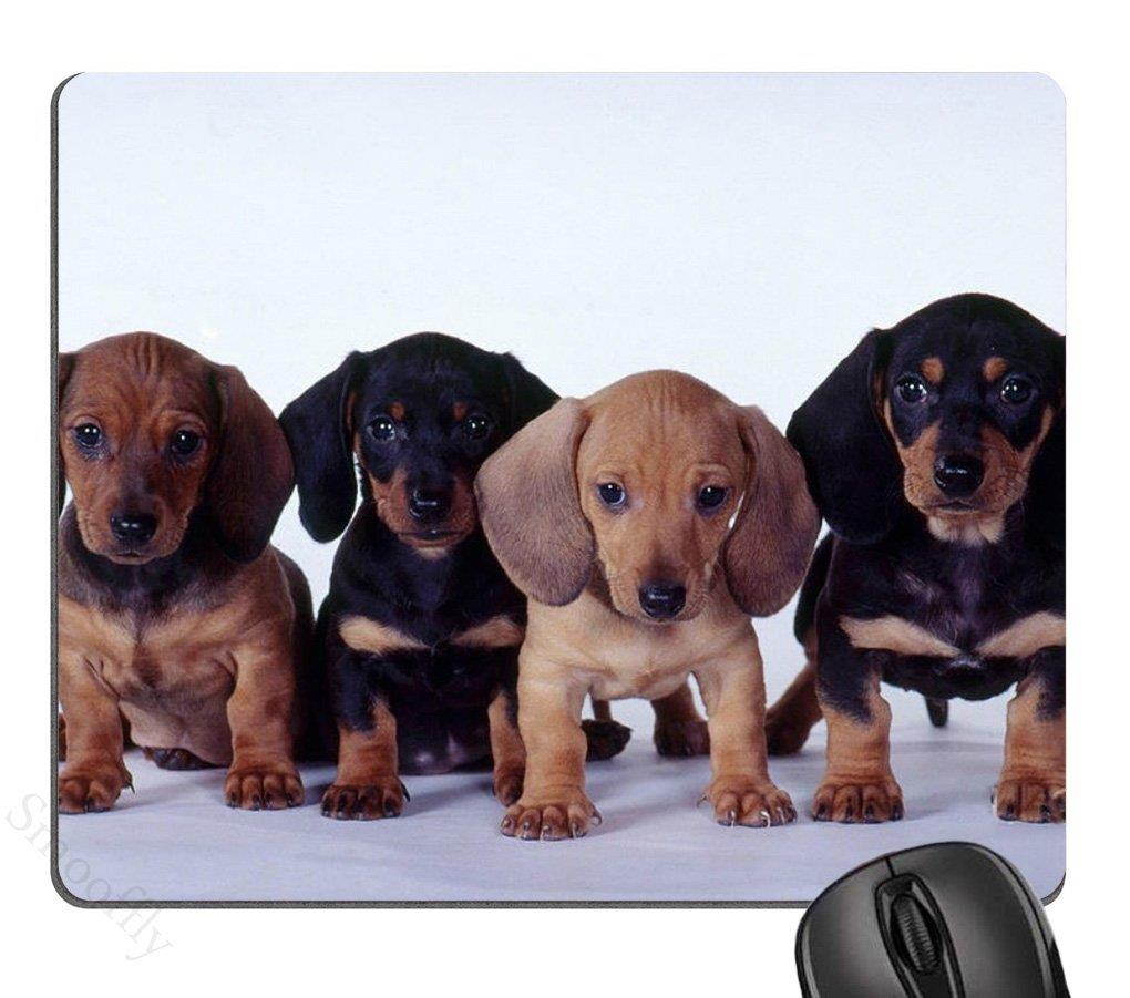 dachshund puppies Mouse Pad, Mousepad (Dogs Mouse Pad)