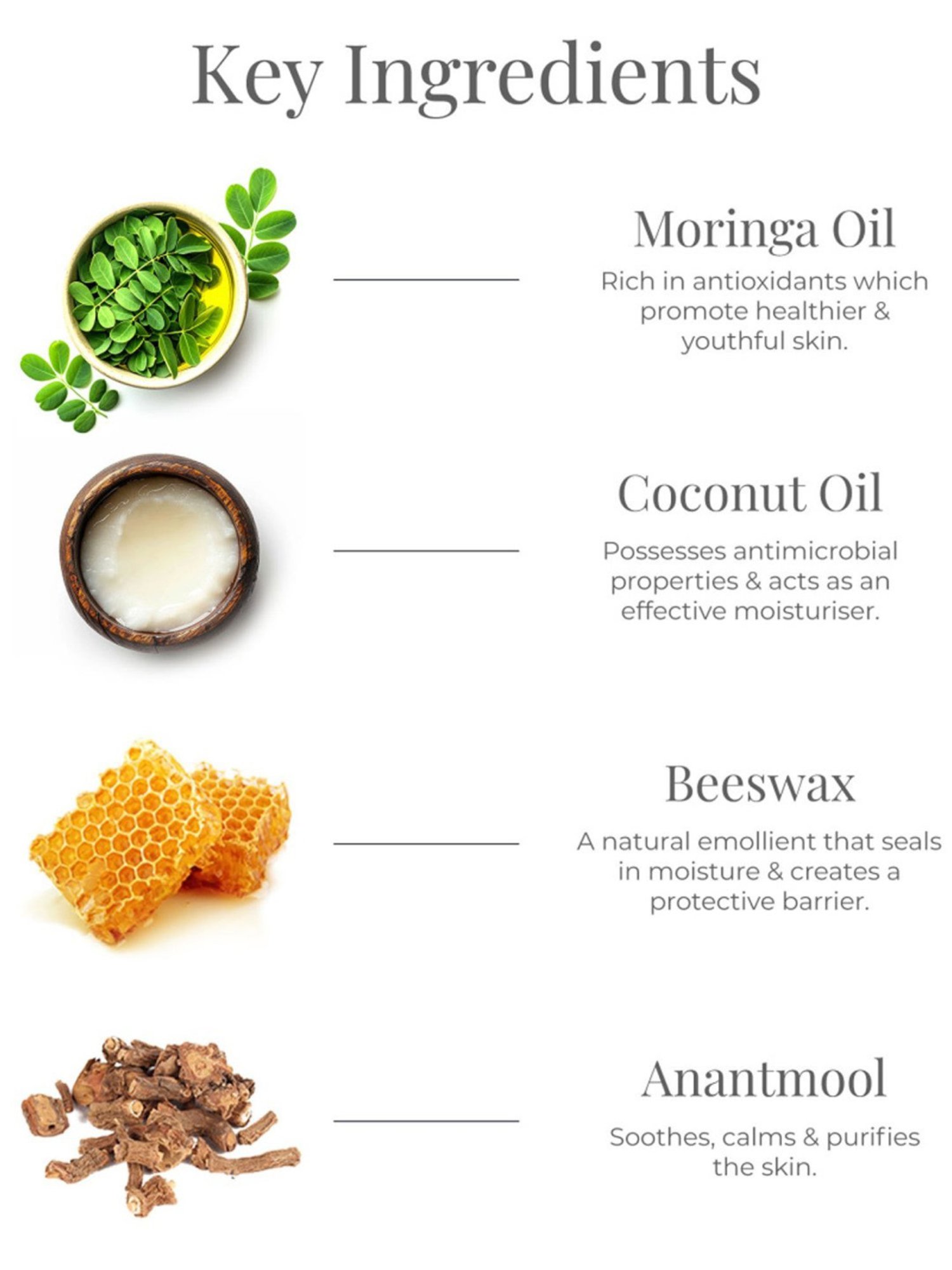 Forest Essentials Madhu Rasa in Anjeer Natural Tinted Lip Balm - 2.2 gm