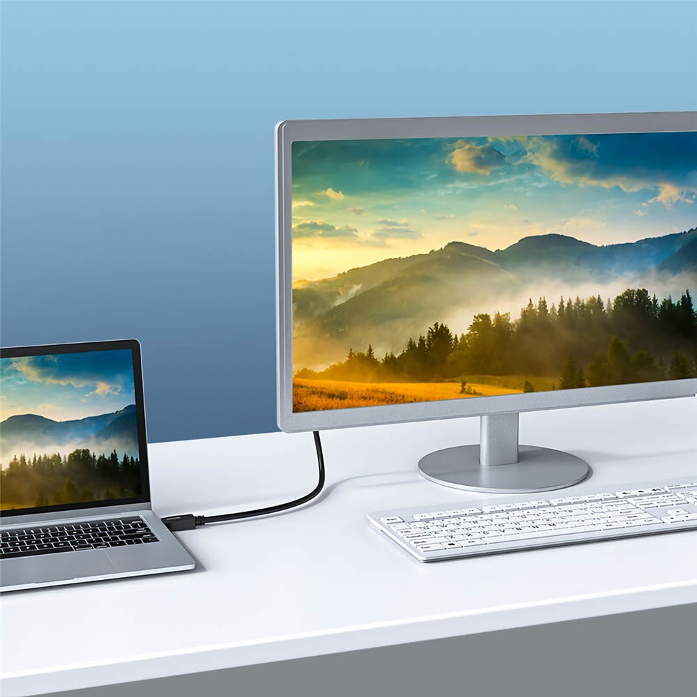 SHENGWEI DP Male to Male Cable 2K*4K HD Video Audio Cable 1080P Displayport Cable for HDTV Projector Display DP-2010B 1M