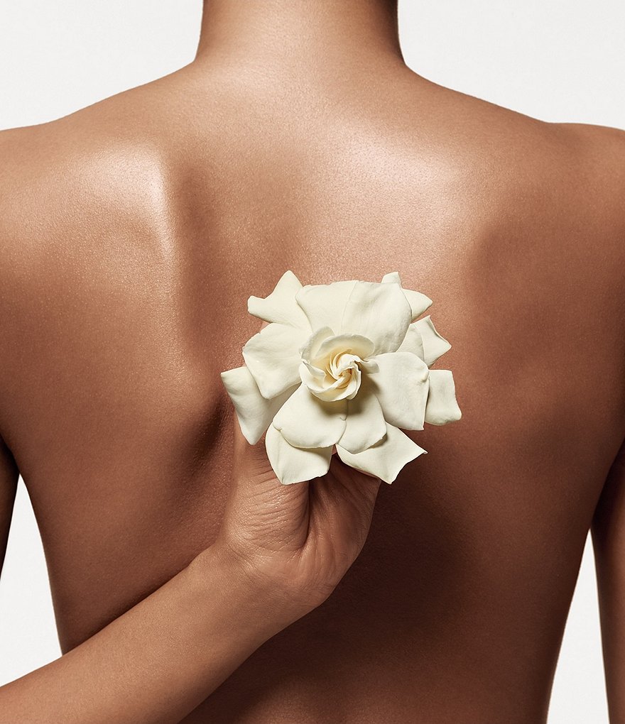 Donna Karan Cashmere Mist Body Lotion