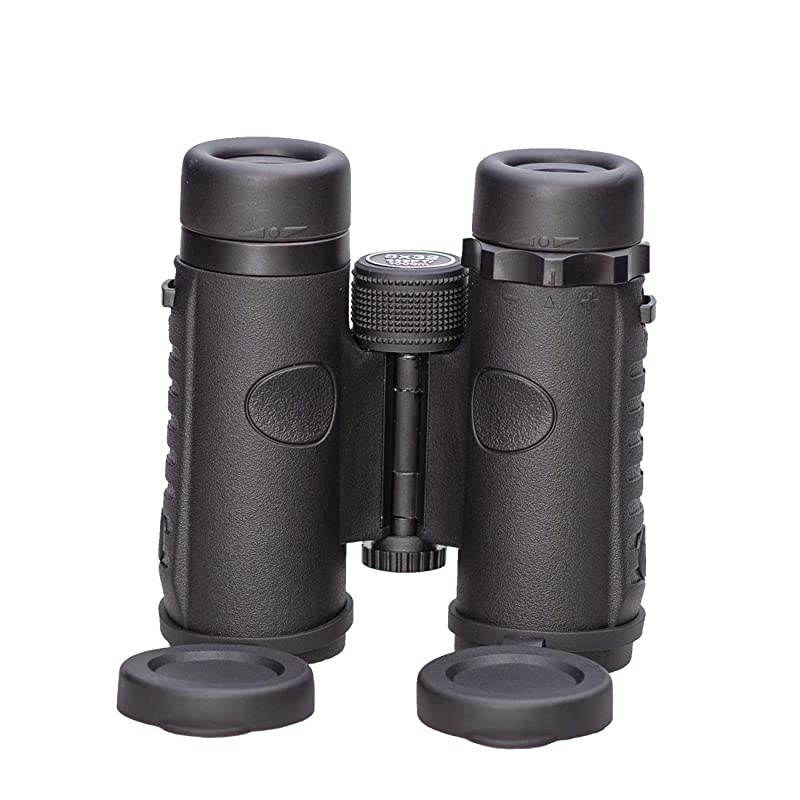 8x32 Compact Binoculars with Low Light Night Vision, Large Eyepiece High Power Waterproof Binocular Easy Focus for Outdoor Hunting, Bird Watching, Traveling (Black, 8 X 32)