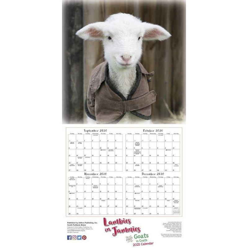 Sellers Publishing 2021 Lambies in Jammies & Goats in Coats 16-Month Wall Calendar Edgar's Mission Inc.