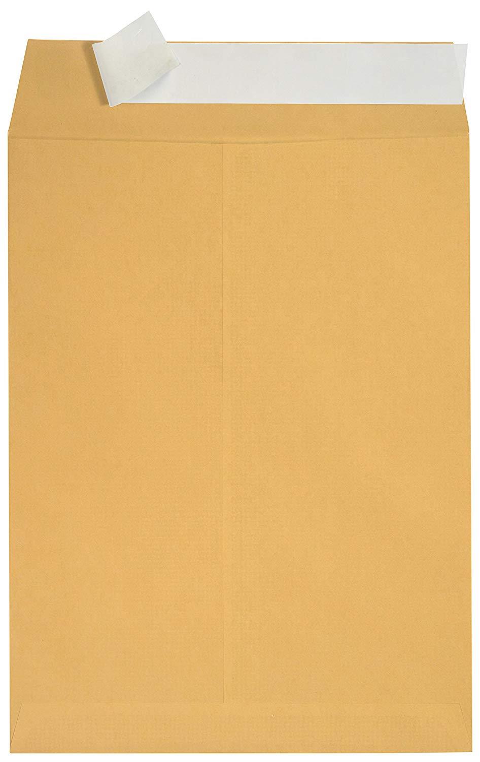 100 9 X 12 SELF Seal Golden Brown Kraft Catalog Envelopes- Designed for Secure Mailing- Oversize Strong Peel and Seal Flap with 28 LB Kraft Paper- 100 Envelopes