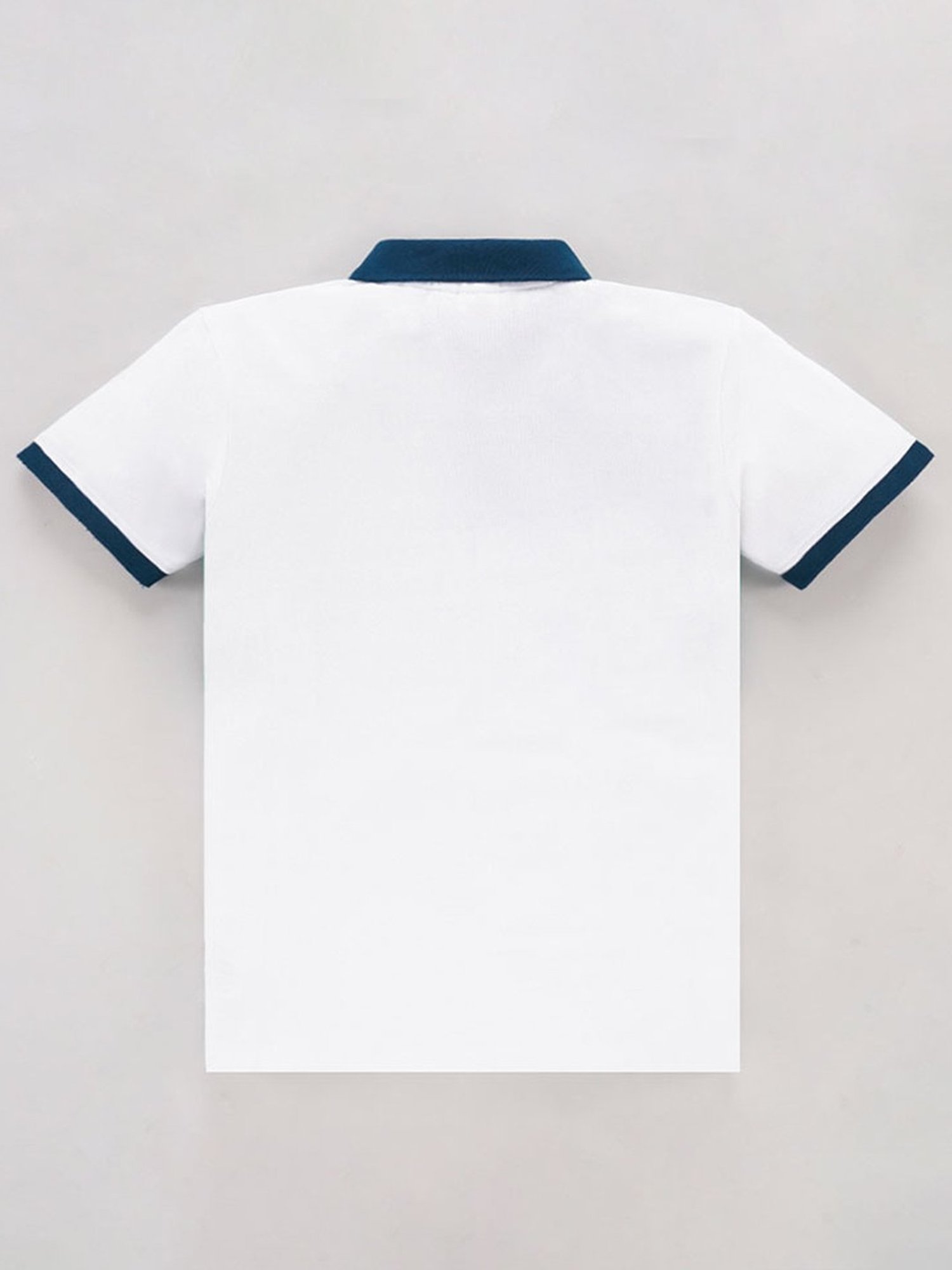 Edheads Kids Multicolor Cotton Color Block Polo T-Shirt