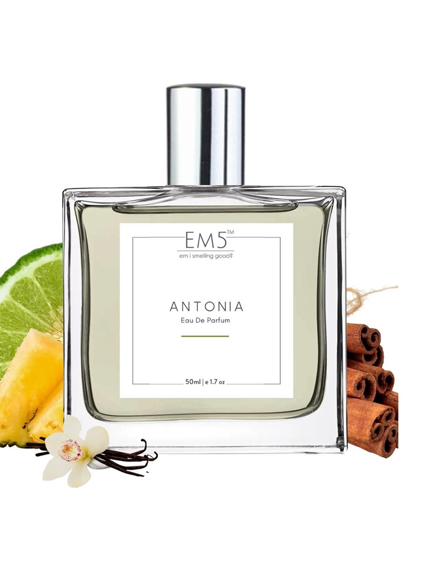 EM5 Antonia Eau de Parfum for Men - 50 ml