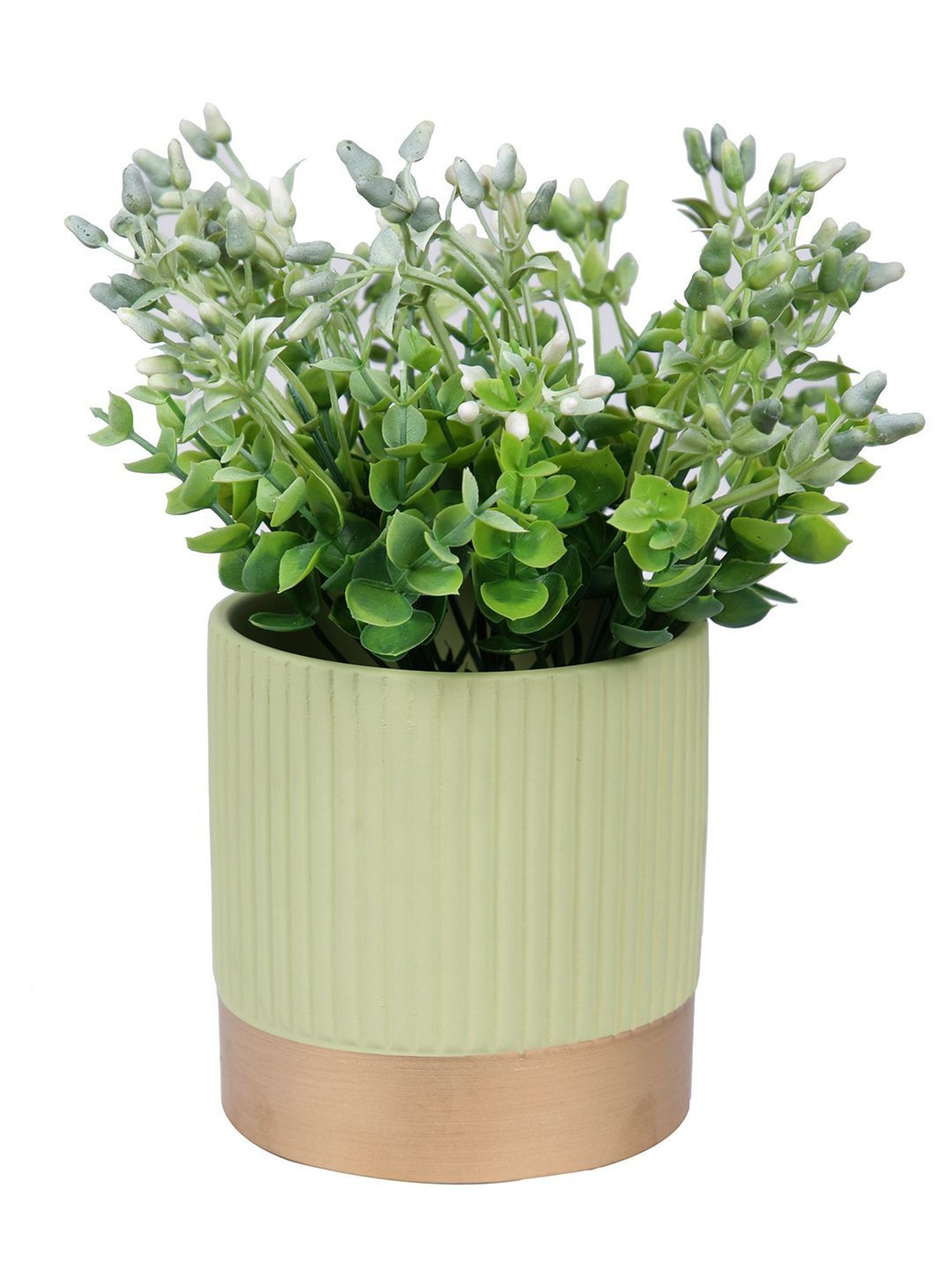Tayhaa light Green & Gold Ceramic Planter