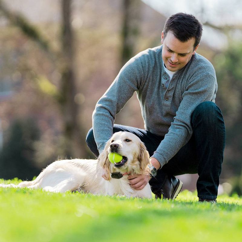 PetSafe Ultralight Adjustable Receiver Collar - Black