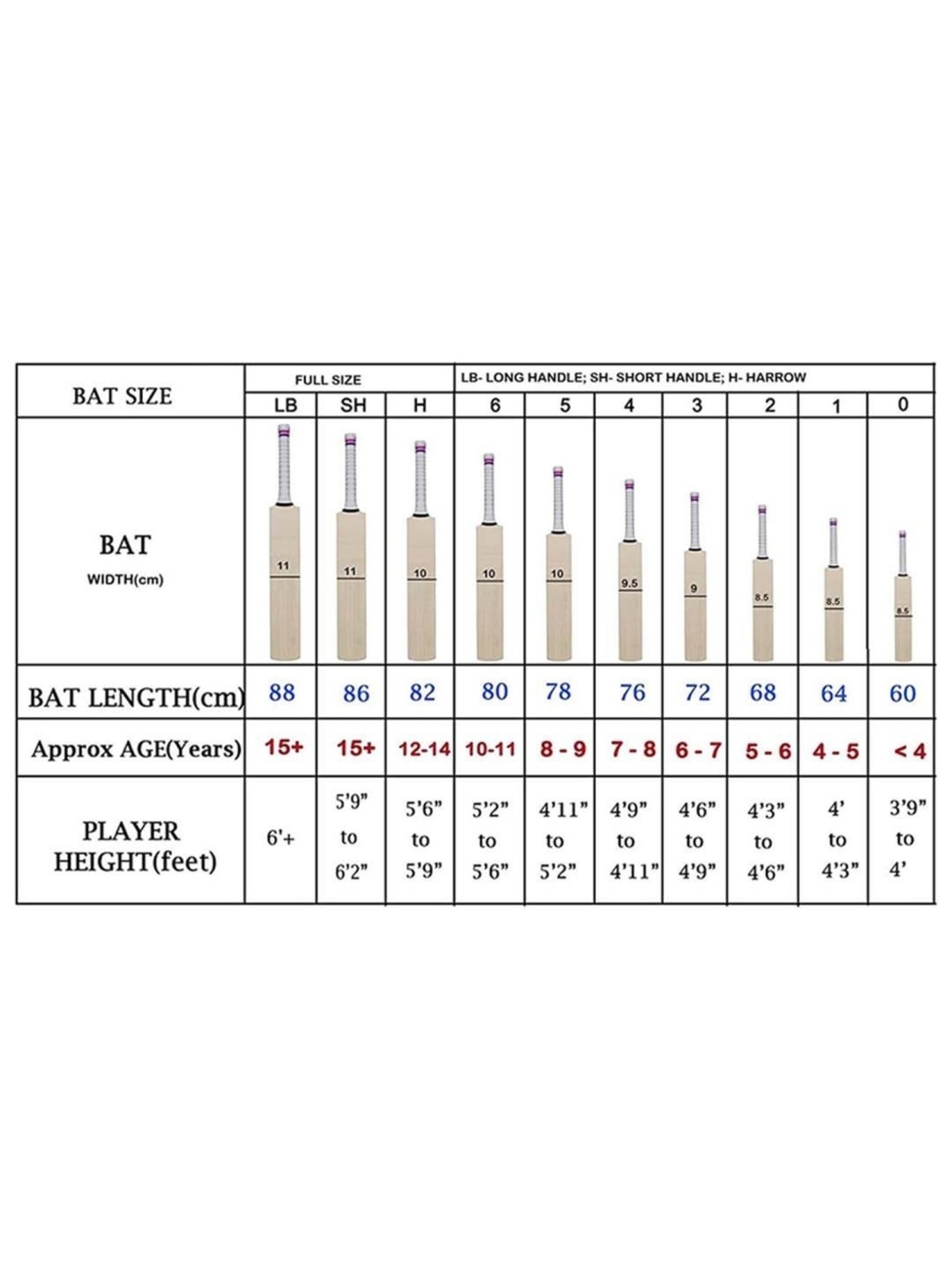 DSC Roar Hunter Kashmir Willow Cricket Bat Size - 1