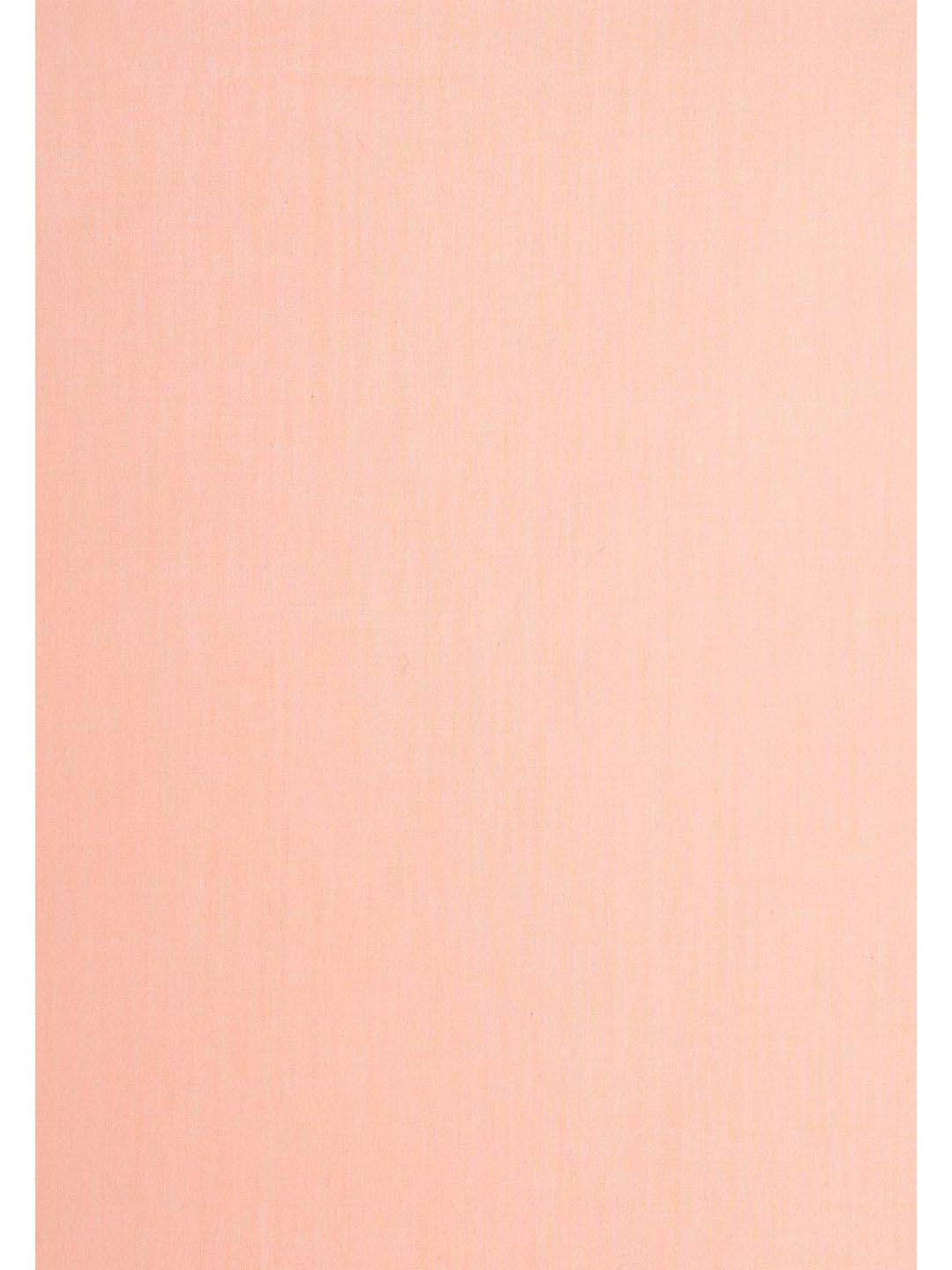 Mark Home Classic Peach Cotton 210 TC King Bedsheet with 2 Pillow Covers