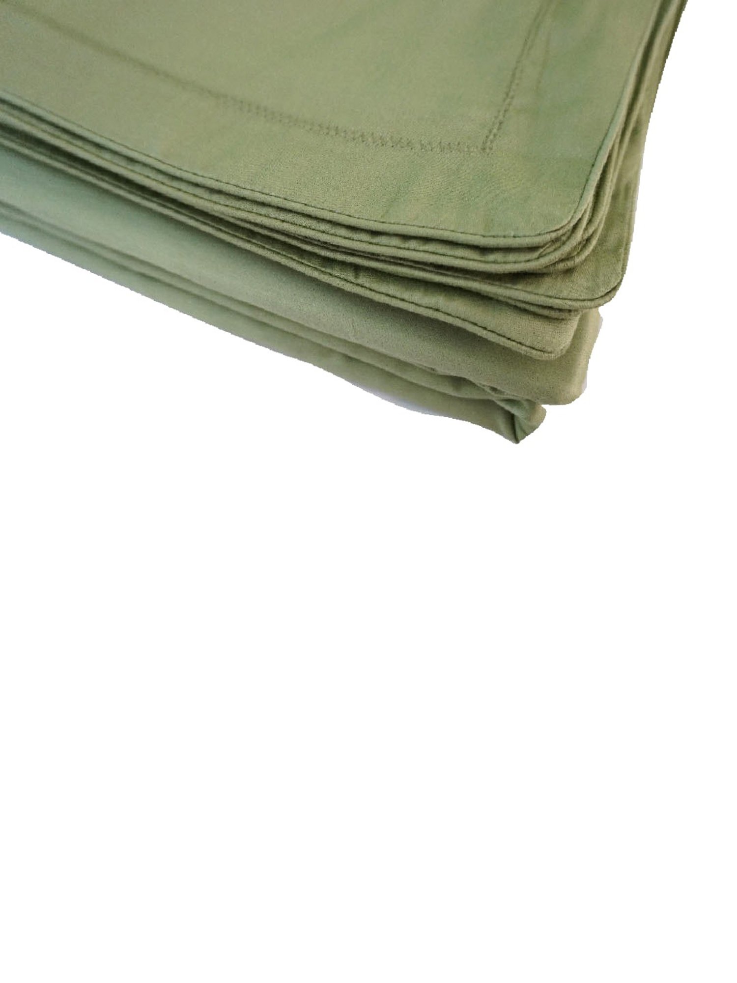 TARA Sparkling Homes Green 300 TC Cotton King Bedsheet With 2 Pillow Covers