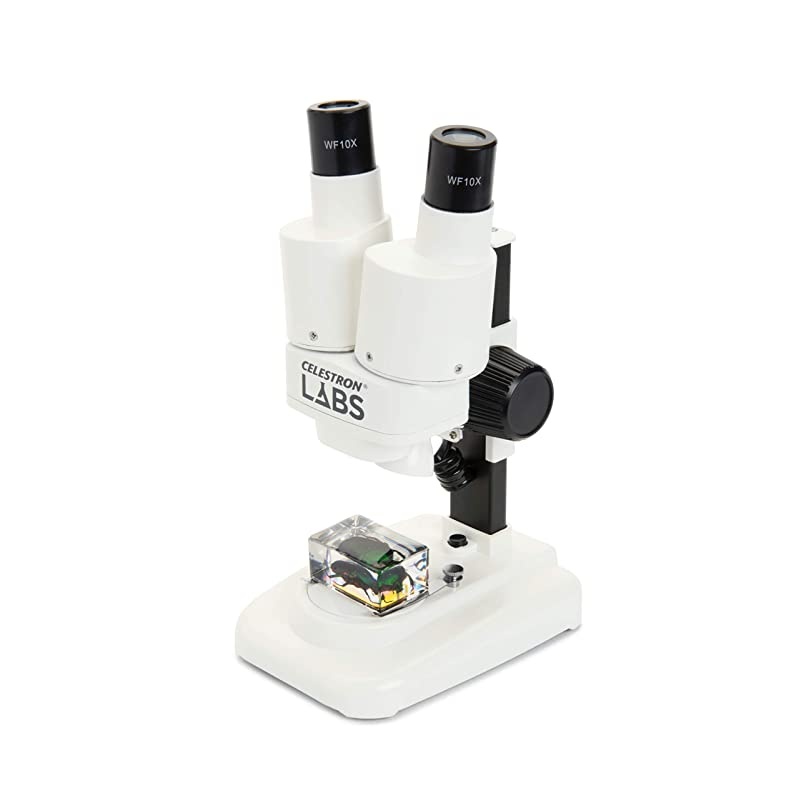 S20 Portable Stereo Microscope w/20x Power, 2 Insect Specimens in Clear Plastic, 2 AA Batteries, Upper Illuminator