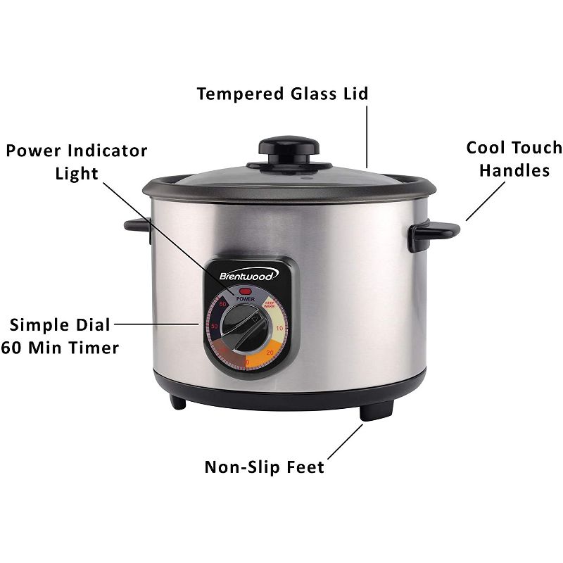 Brentwood TS-1020S 700 Watt 20 Cup Persian Style Crunchy Tahdig Scorched Rice Cooker with 60 Minute Timer, Silver