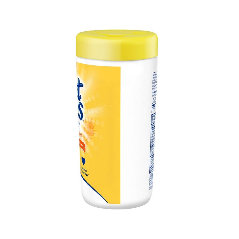 Wet Ones Antibacterial Hand Wipes Canister - Tropical Splash - 40ct