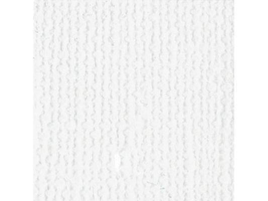 Bazzill BAZL-E-1001 Bazzill Cardstock 12 x 12 Inch  - Case of  25