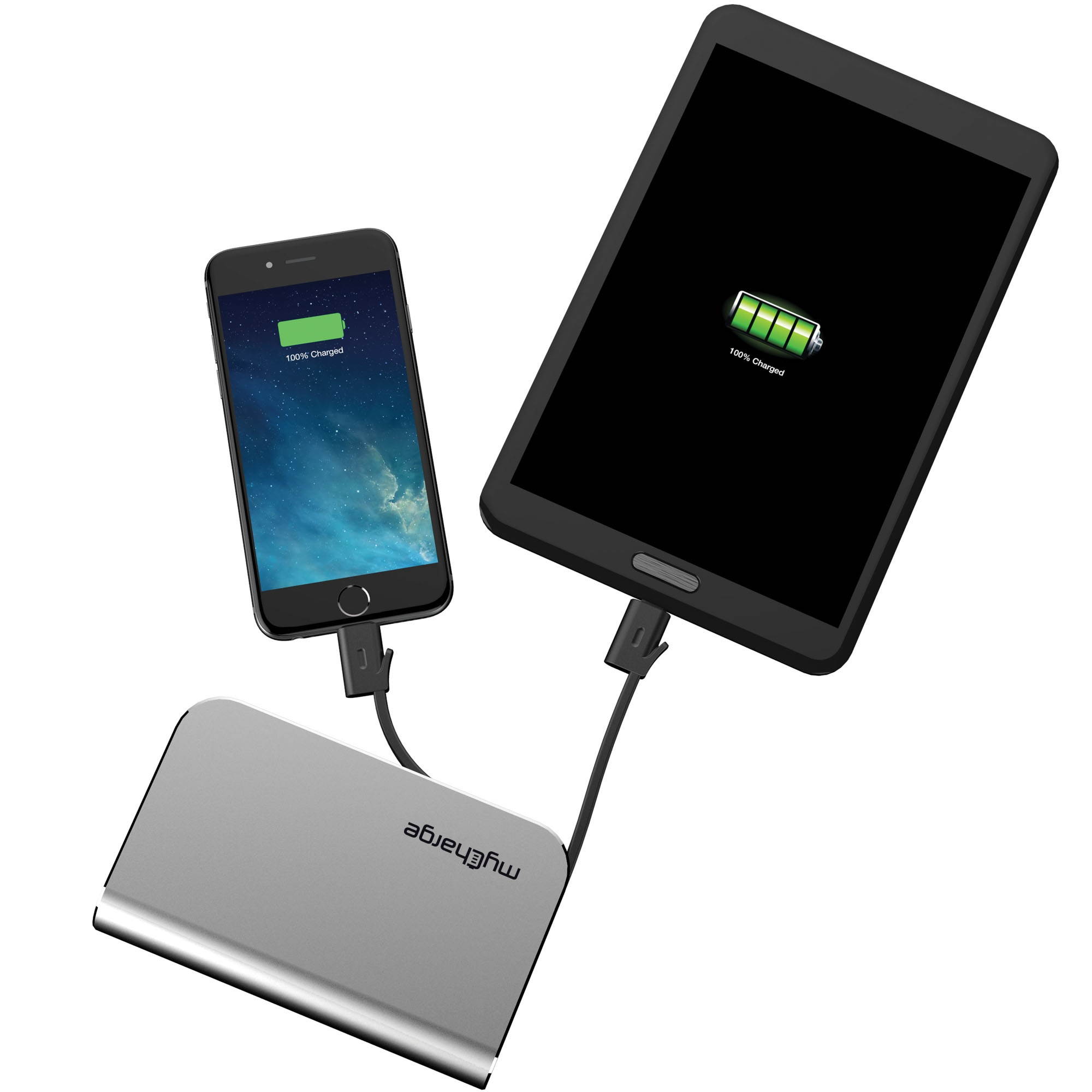 myCharge Hub Plus Powerbank 6700 mAh with Lightning&Micro-USB Cable Silver Batteries and Portable Power