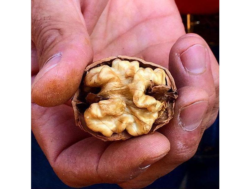 Emerald Glazed Pecans - 5oz