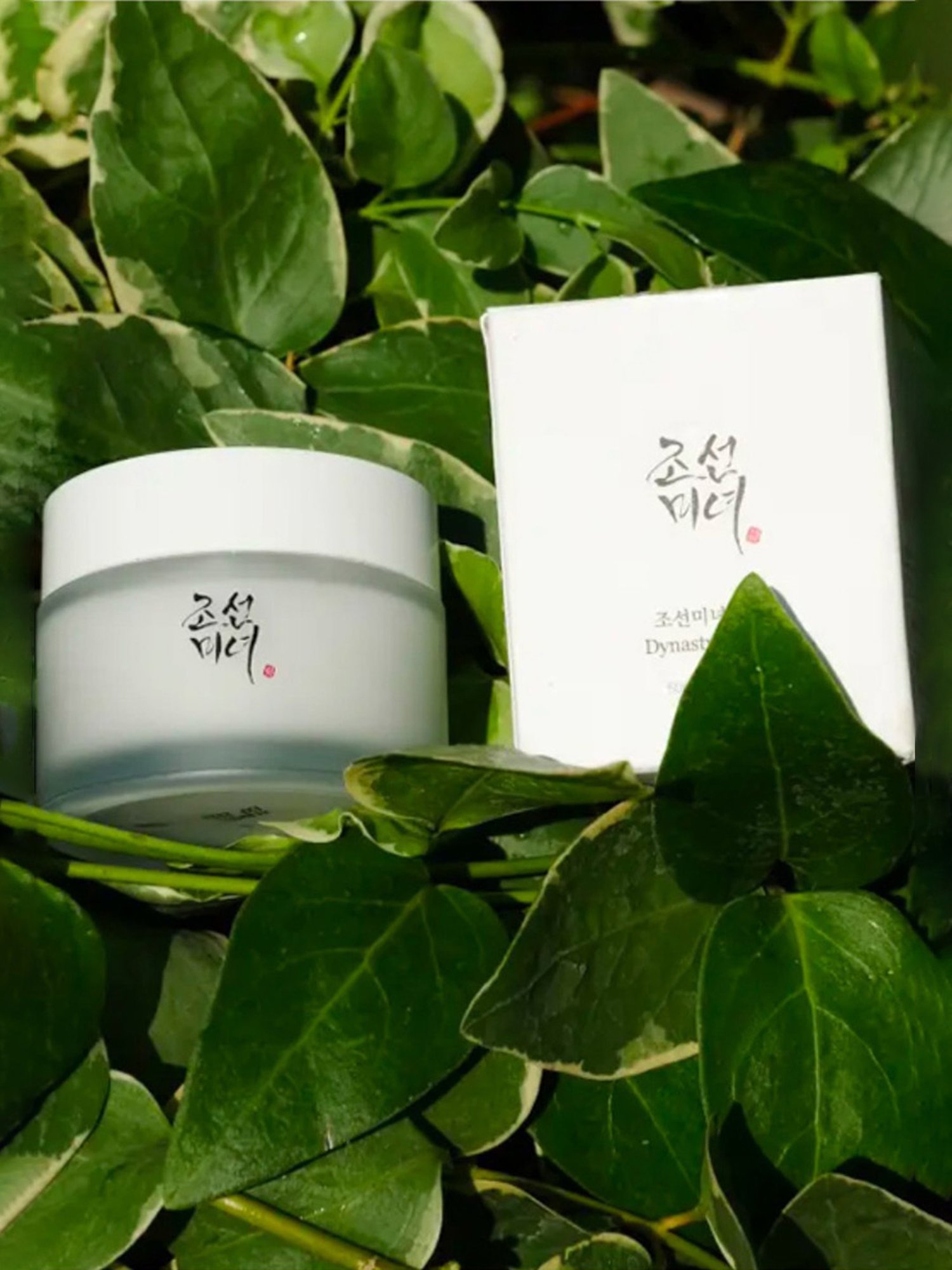 Beauty of Joseon Dynasty Cream - 50 ml