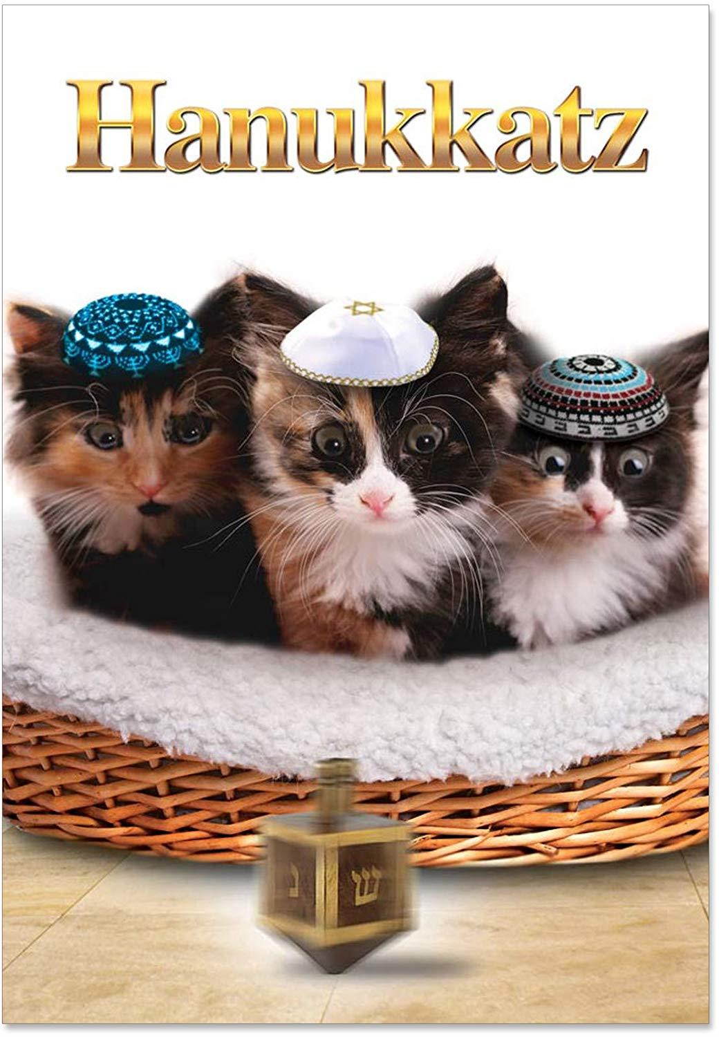 B5939 Box Set of 12 Hanukkatz Unique Humor Christmas Greeting Cards with Envelopes