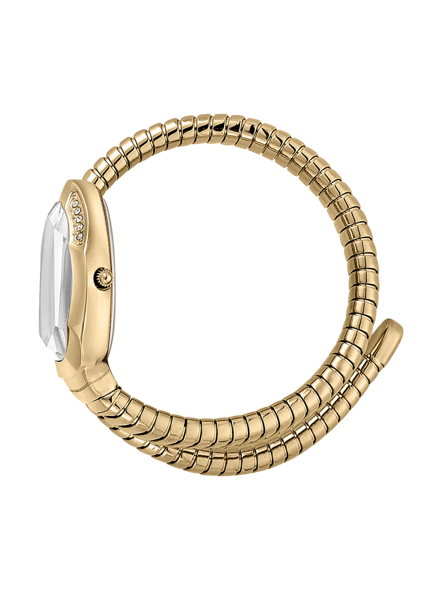 JUST CAVALLI JC1L208M0035 Analog Watch for Women