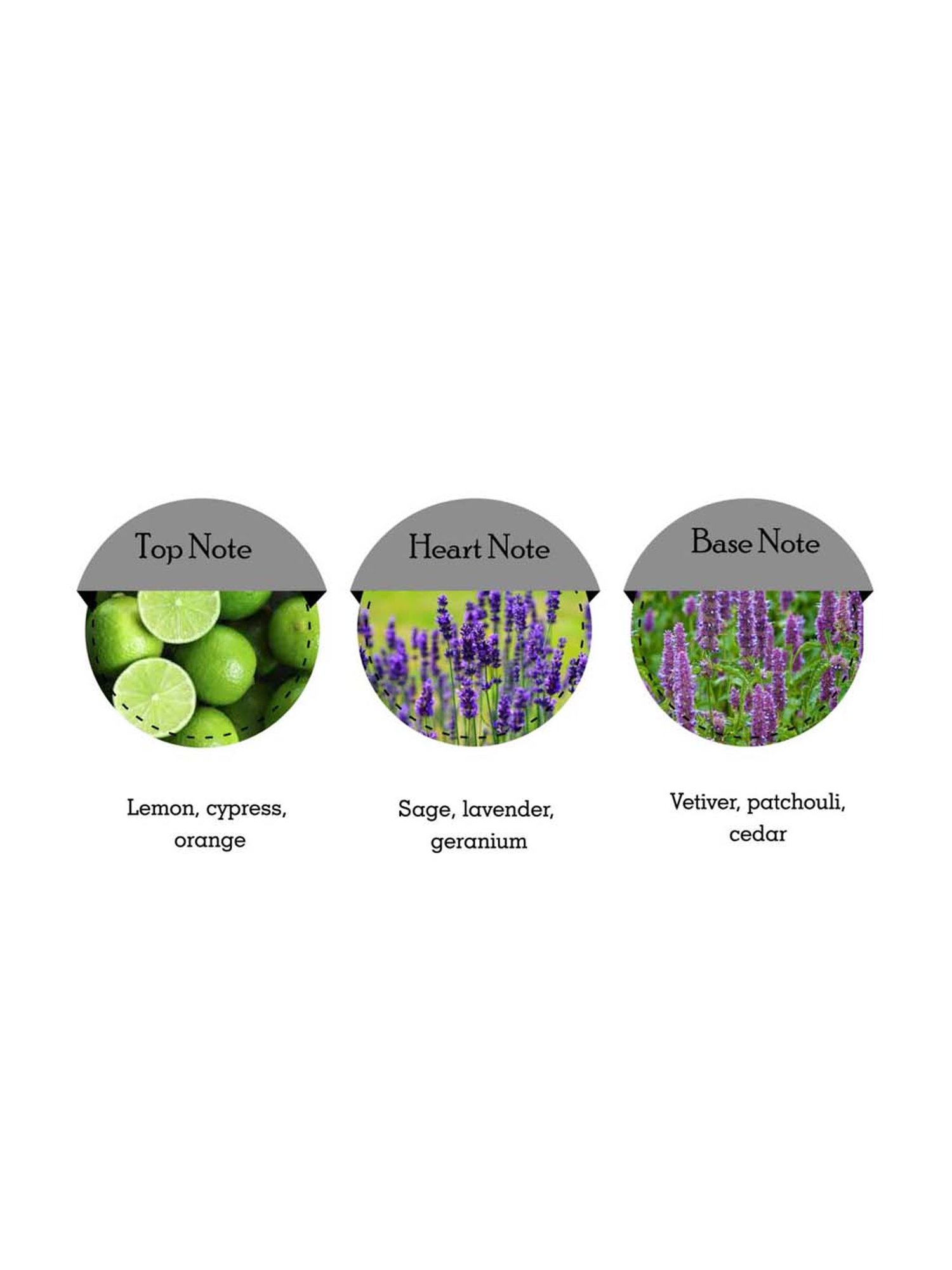 s.Oliver Black Label Men Deodorant Aerosol Spray (Pack of 2)