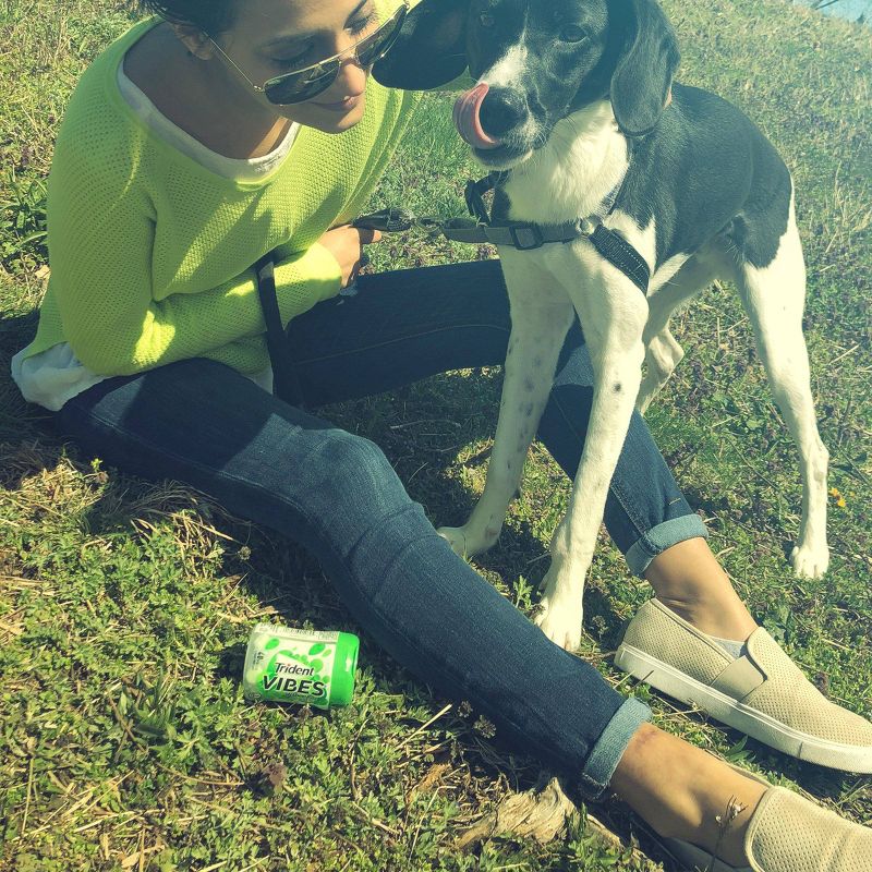 Trident Vibes Spearmint Rush Chewing Gum - 40ct