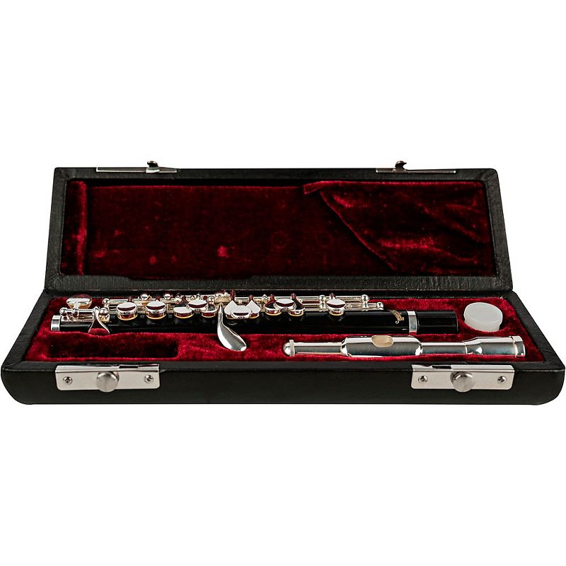 Allora AFL-250 Student Series Flute Offset G C-Foot