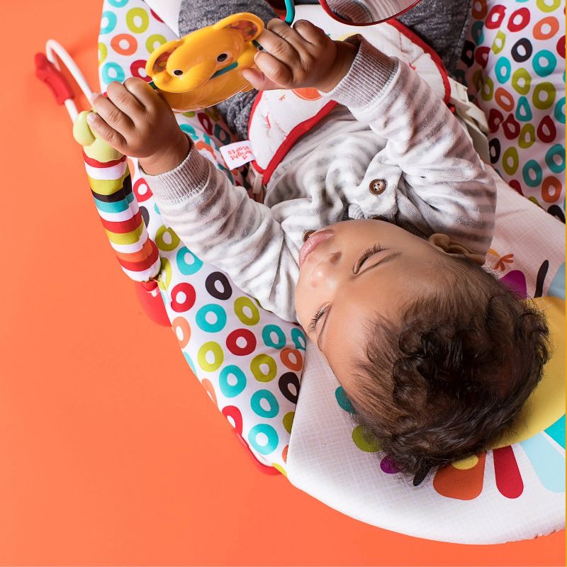 ​Fisher-Price Baby Bouncer