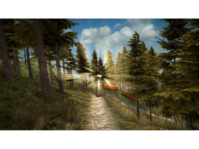 MTB Downhill Simulator [Online Game Code]
