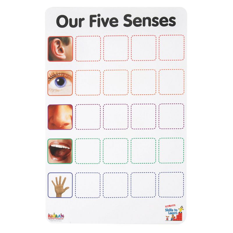 Kaplan Early Learning Company Our Five Senses Interactive Game
