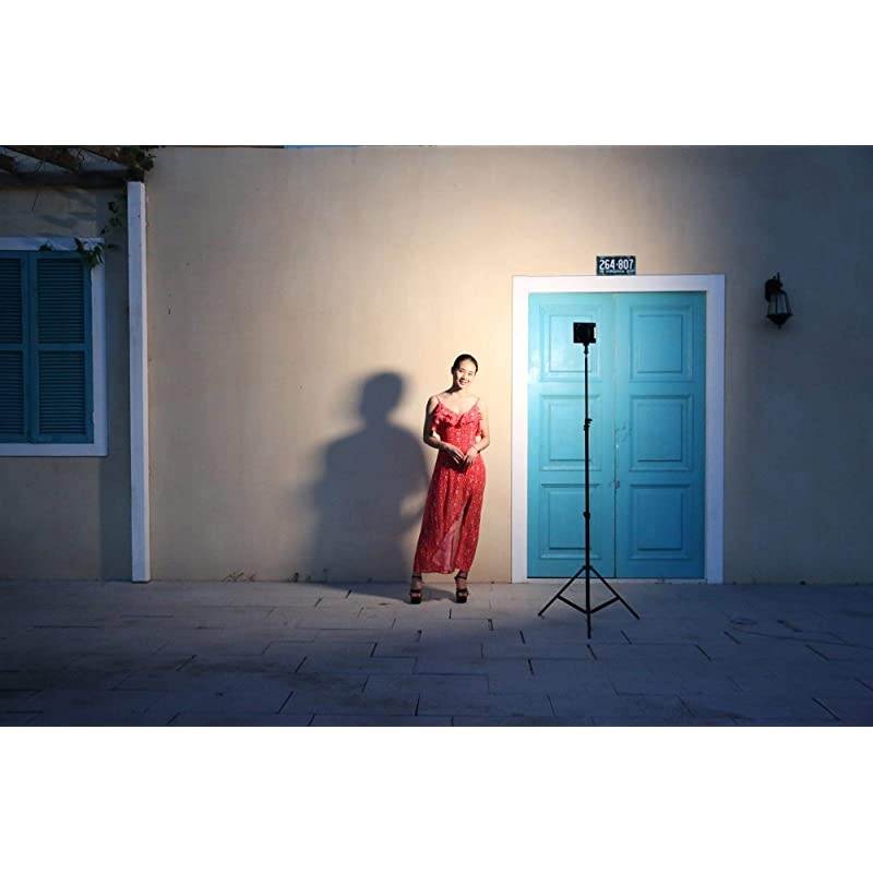 L116T Key Light LED Video Light Kit,3300K-5600K On Camera Video Light Video Conference Live Broadcast Light with NP-F550 Lithium Battery