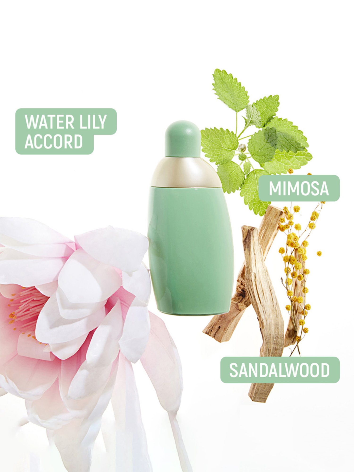 Cacharel Eden Eau De Parfum - 30 ml