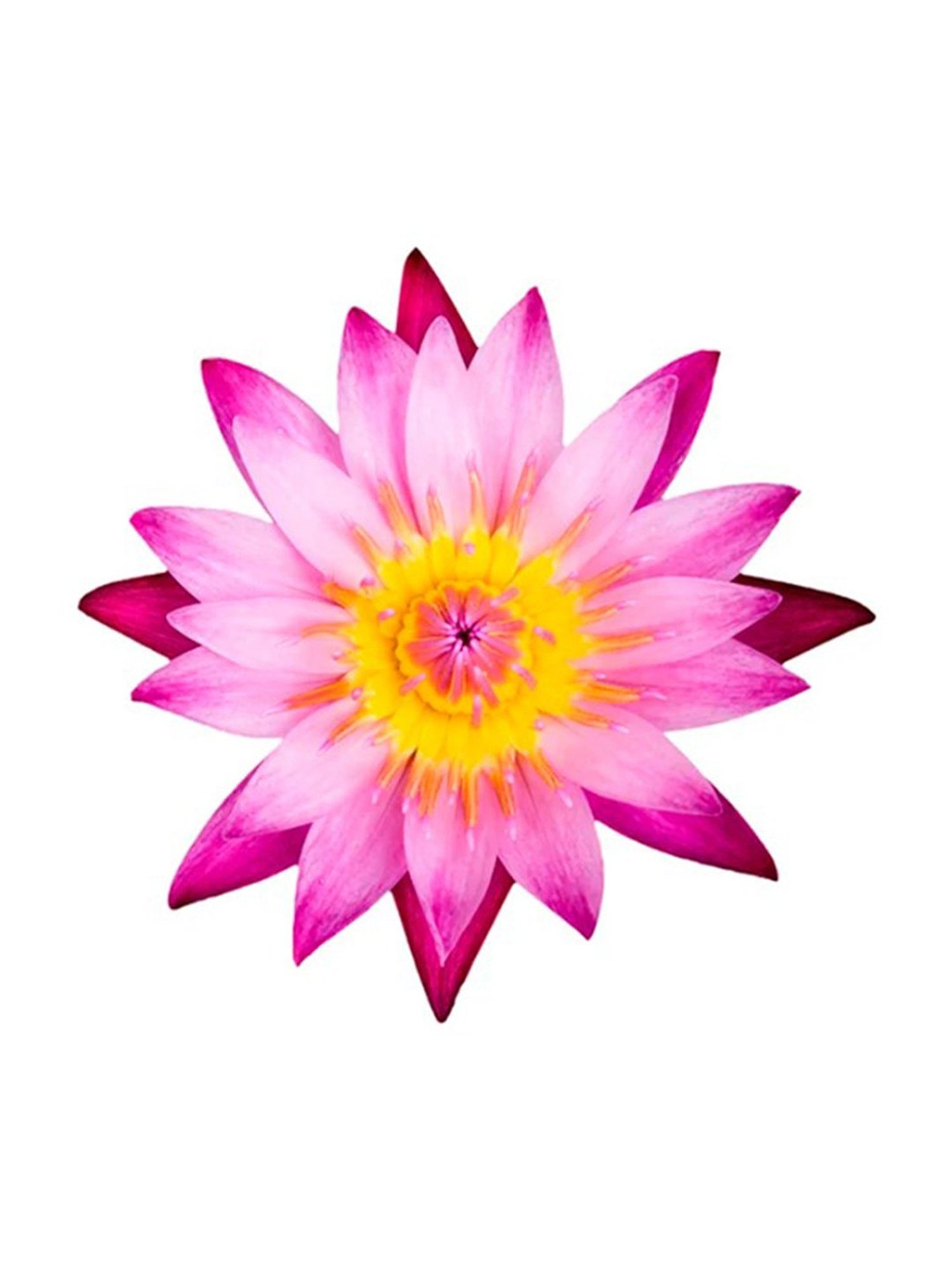 GLAM Nail Wipes Lavender Fragrance - 36 Wipes