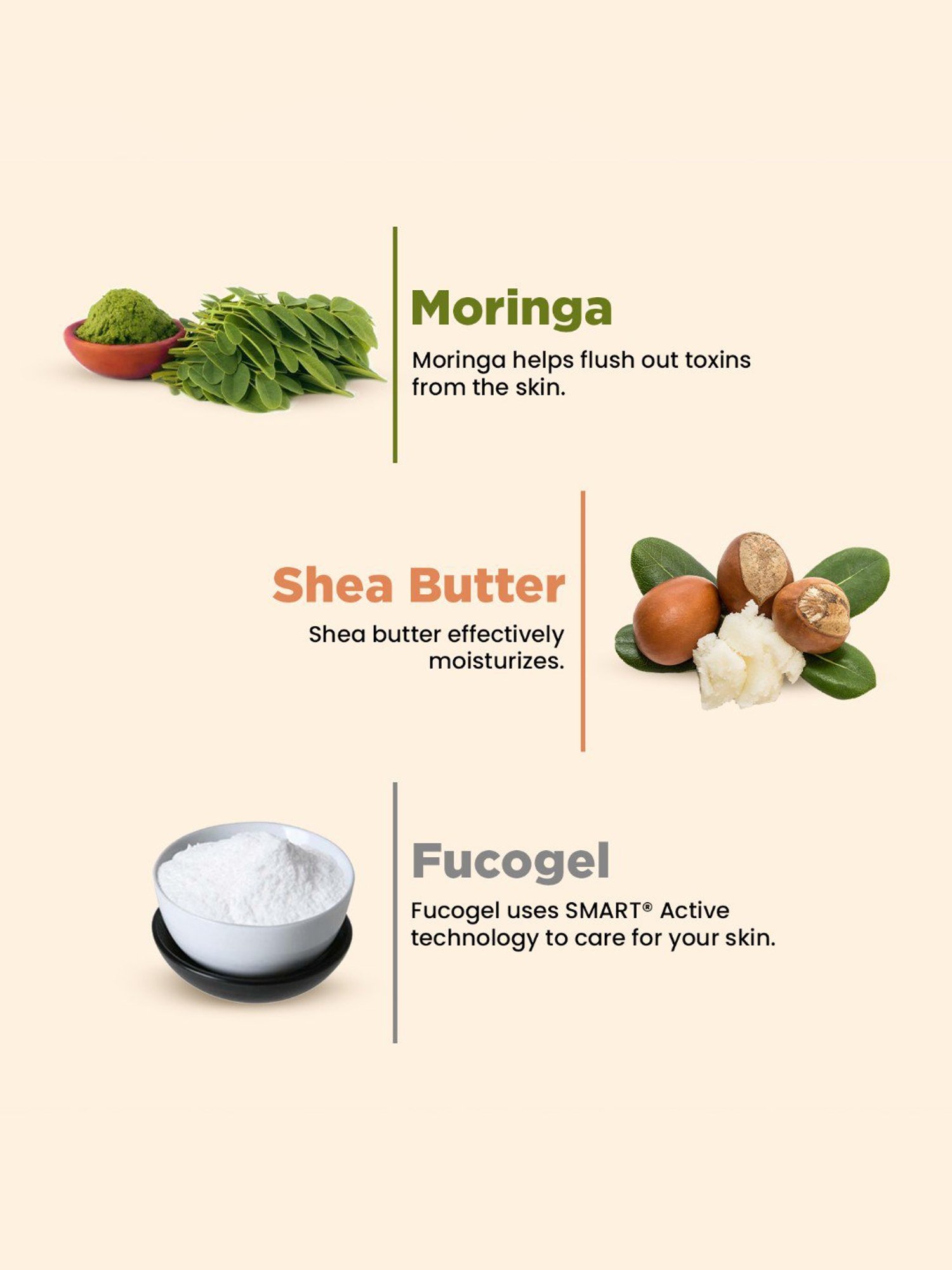 The Skin Story Moringa Face Massage Cream for Deep Nourishment - 50 gm