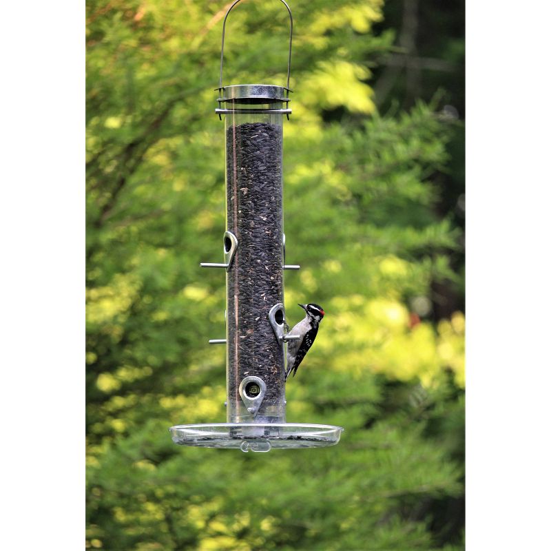 Droll Yankees Classic Sunflower Mixed Seed Feeder - Silver