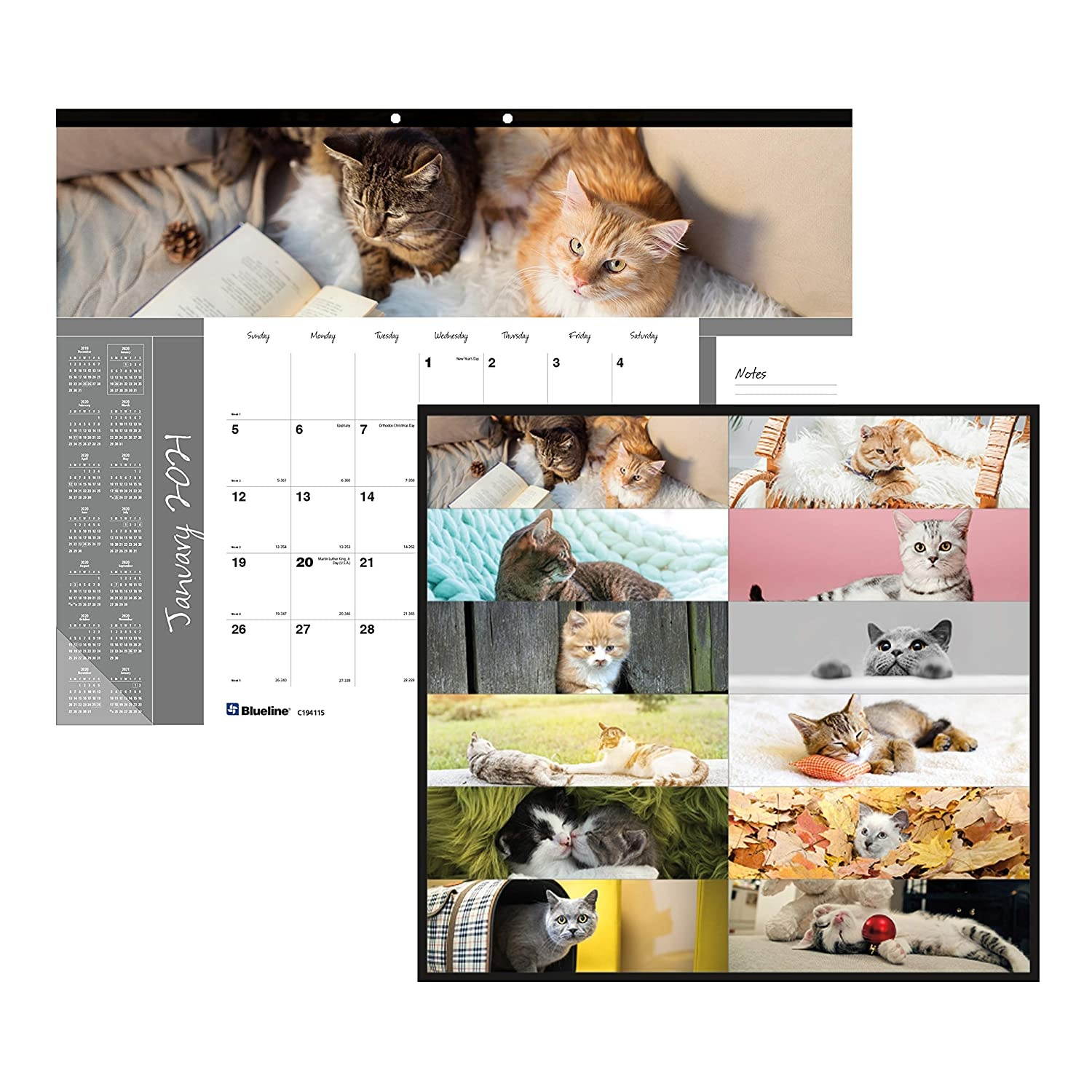 Blueline 2021 Monthly Desk Pad, 22 x 17 inches, Furry Collection (C194115-21)