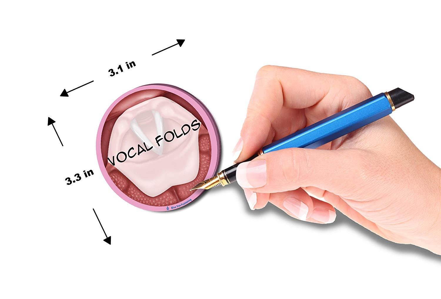 Vocal Folds Sticky Notes, 4 Packs-100 Sheets Per Pack