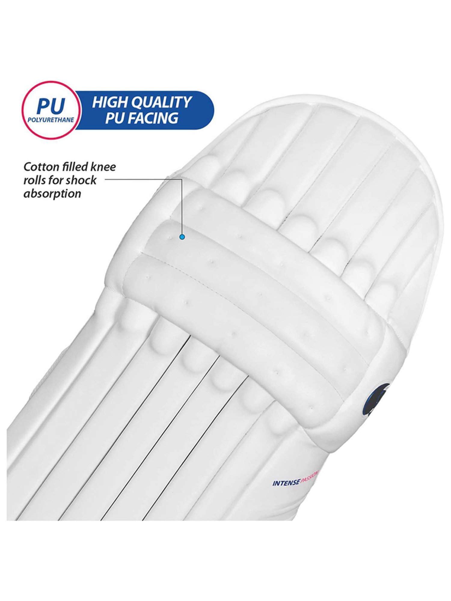 DSC Intense Passion Cricket Batting Legguard Size - Boys