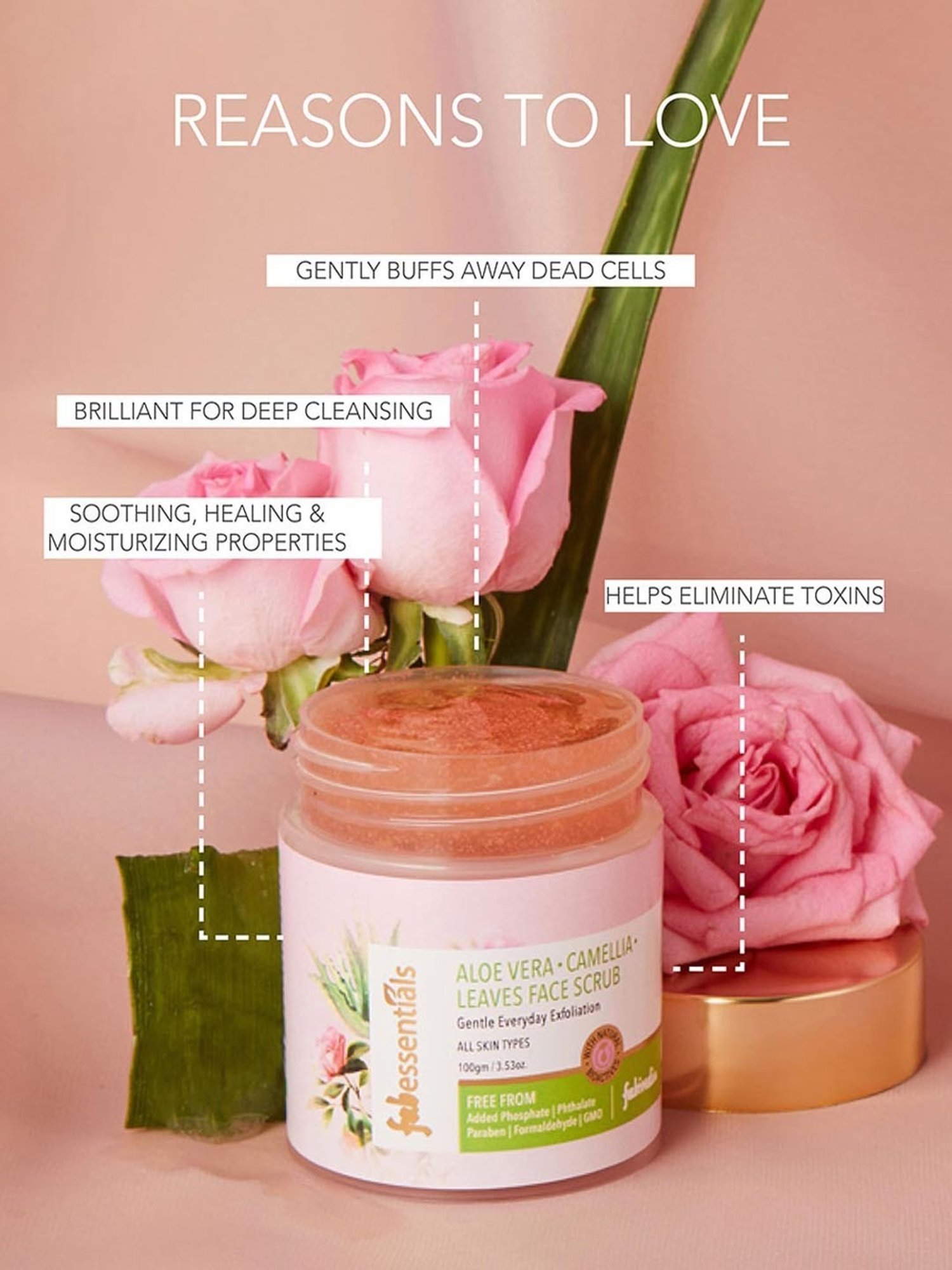 SADHEV The Art Of Ayurveda Ayurvedic Face Scrub - 15 gm