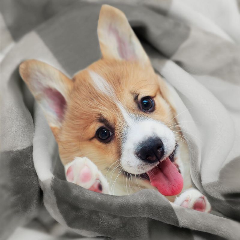 1 Pc Twin Polyester Flannel Fleece Bed Blankets Pink  - PiccoCasa