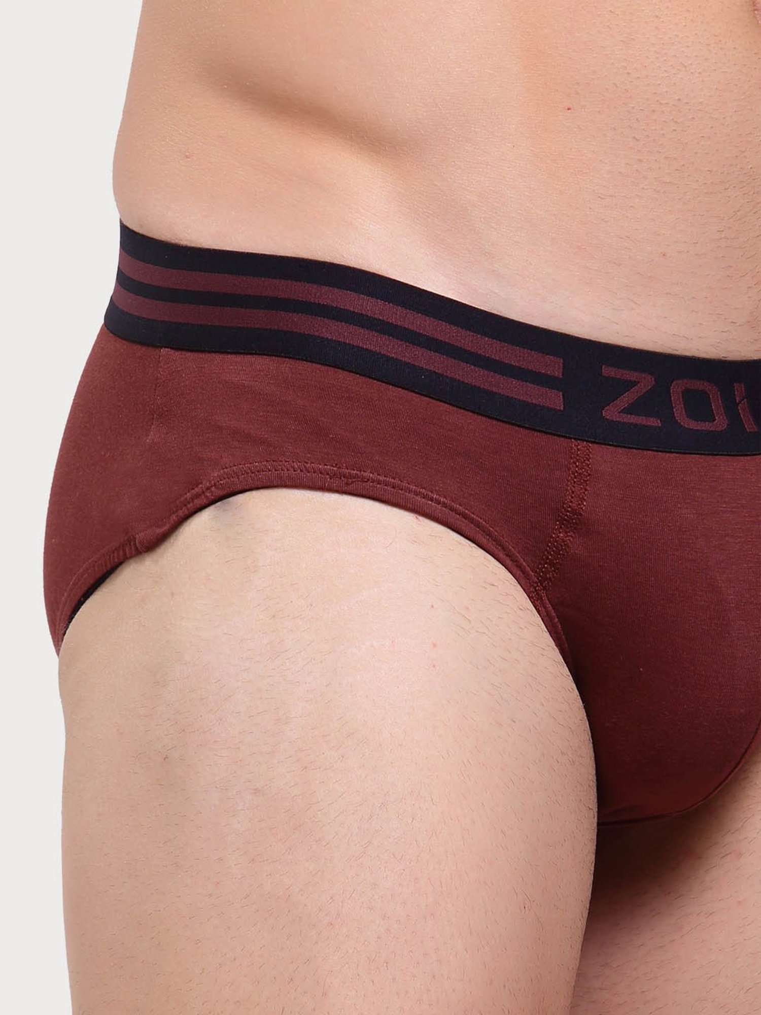 Zoiro Smoked Parl & Burgundy Cotton Regular Fit Briefs - Pack Of 2