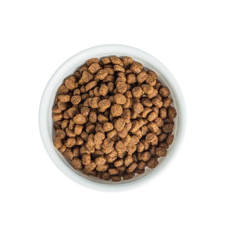 I and Love and You Naked Essentials Hairball Control with Salmon & Whitefish Adult Premium Dry Cat Food - 3.4