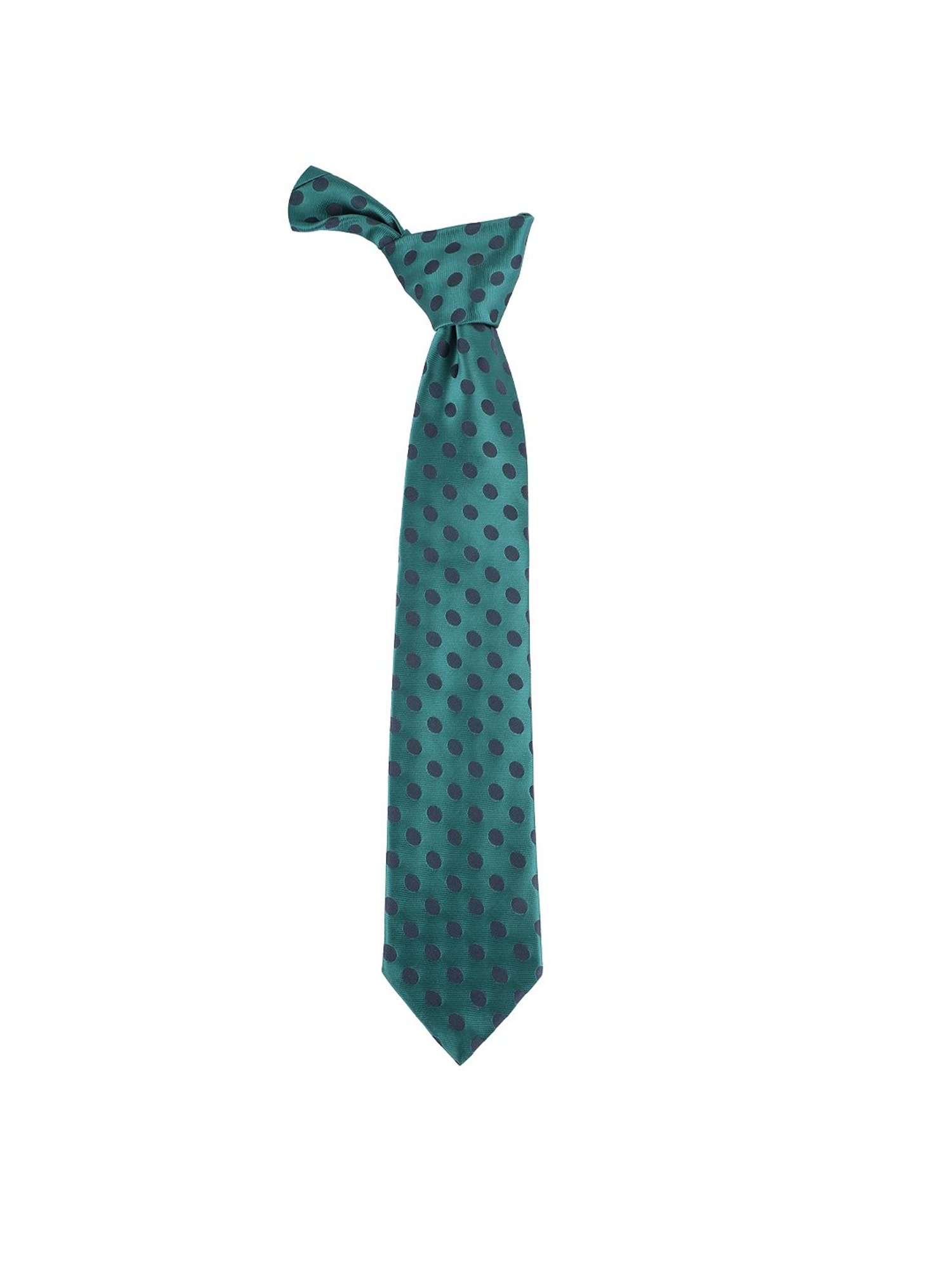 Alvaro Castagnino Blue Woven Tie