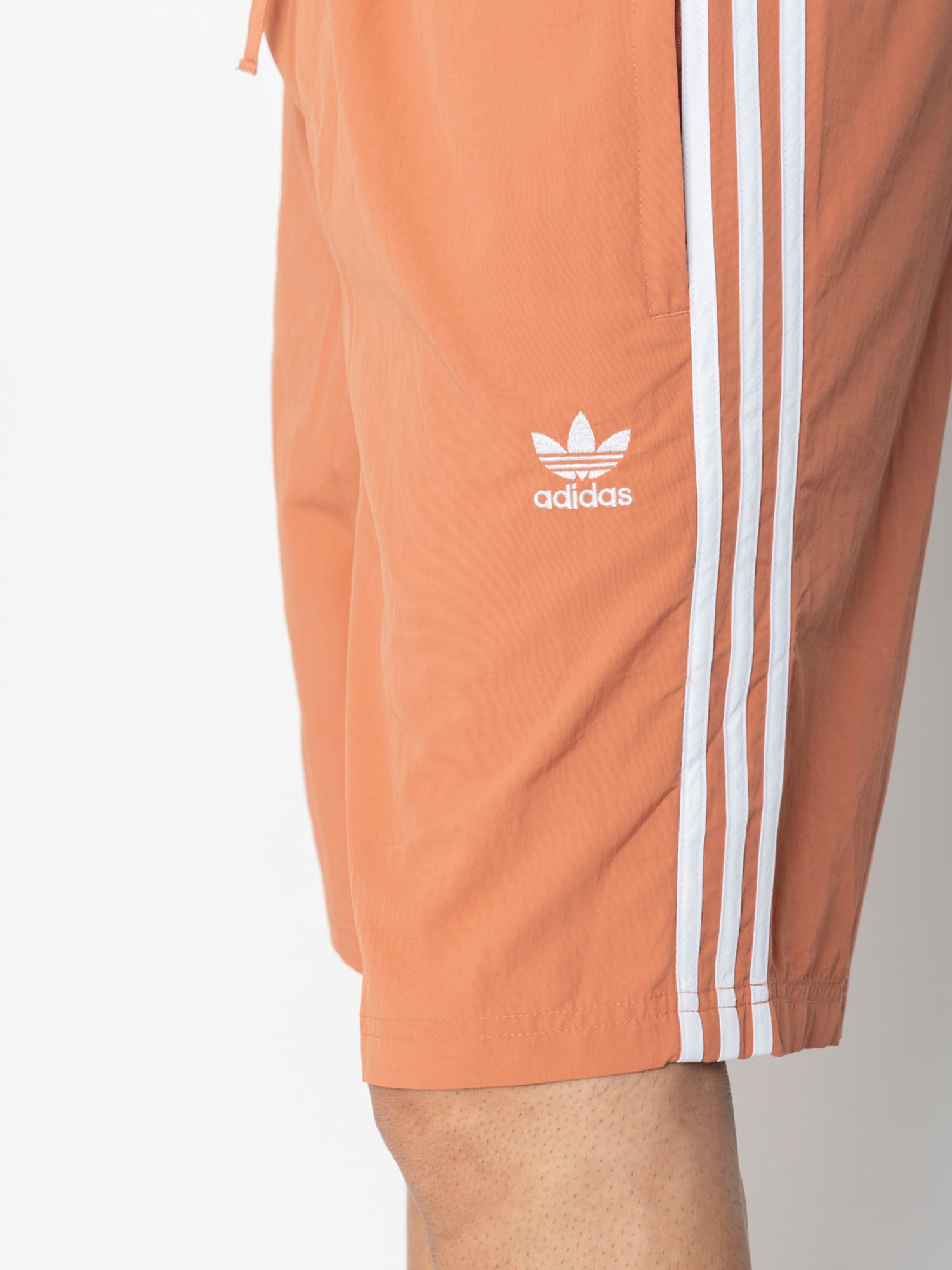 Speedo Watermelon Regular Fit Printed Swim Shorts