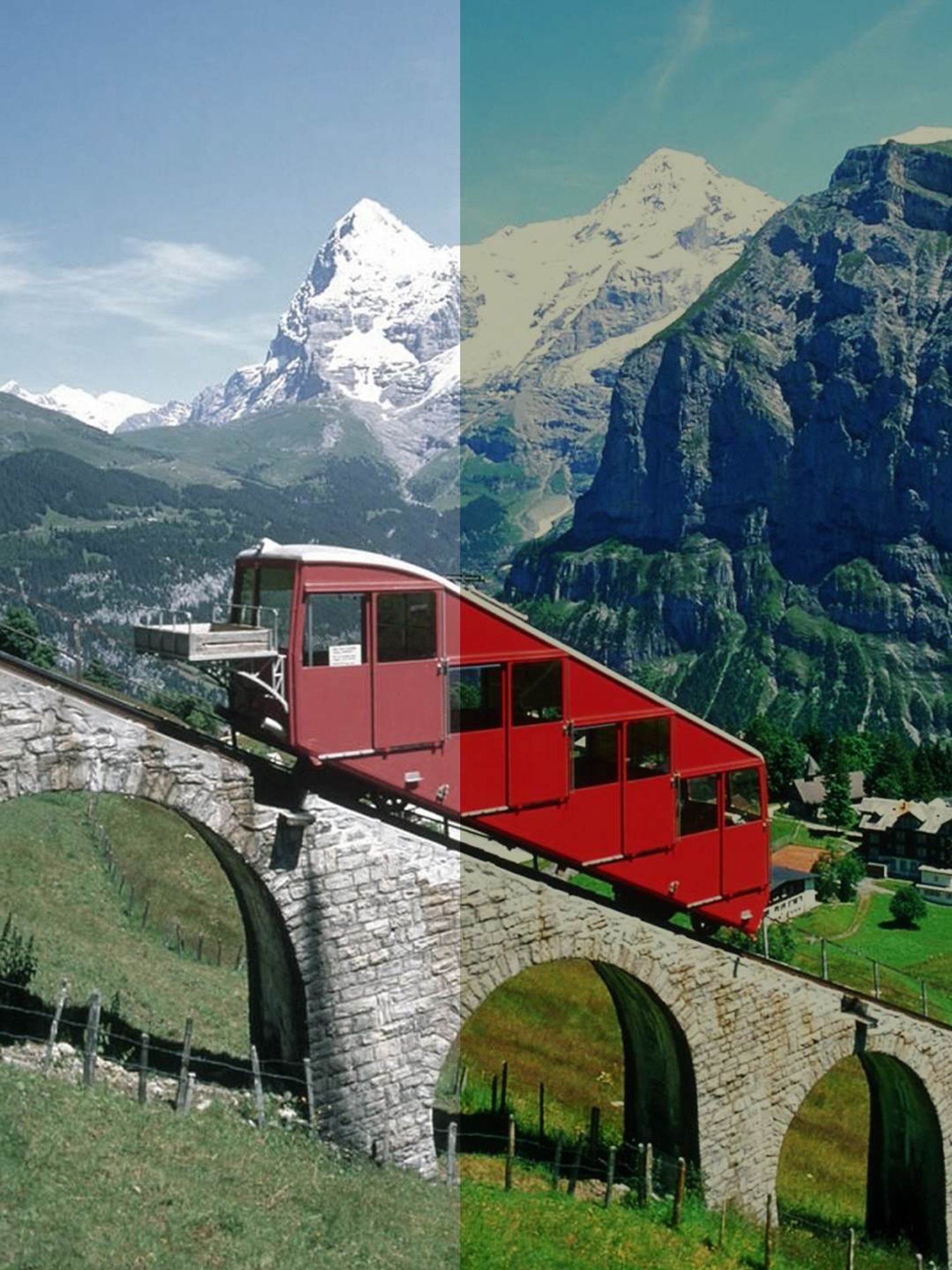 John Jacobs JJ S12810 Green Polarized Round Sunglasses