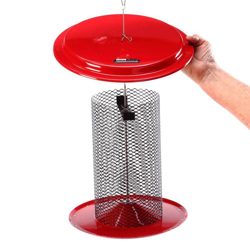 Birds Choice Magnet Mesh Black Oil Sunflower Bird Feeder - Red