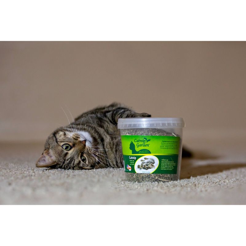 Temptations Meow Mix-Ups Cat Treats - 6pk